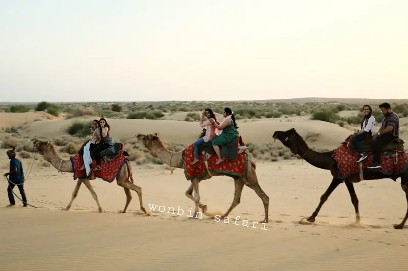 Three camels carrying riders in single file across the dunes