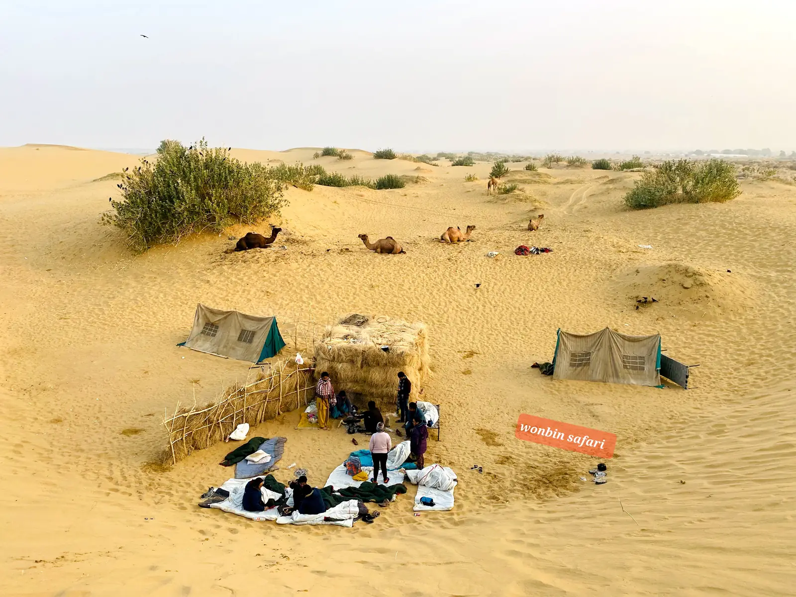 The camp from a distance, tents and camels spread across the dunes