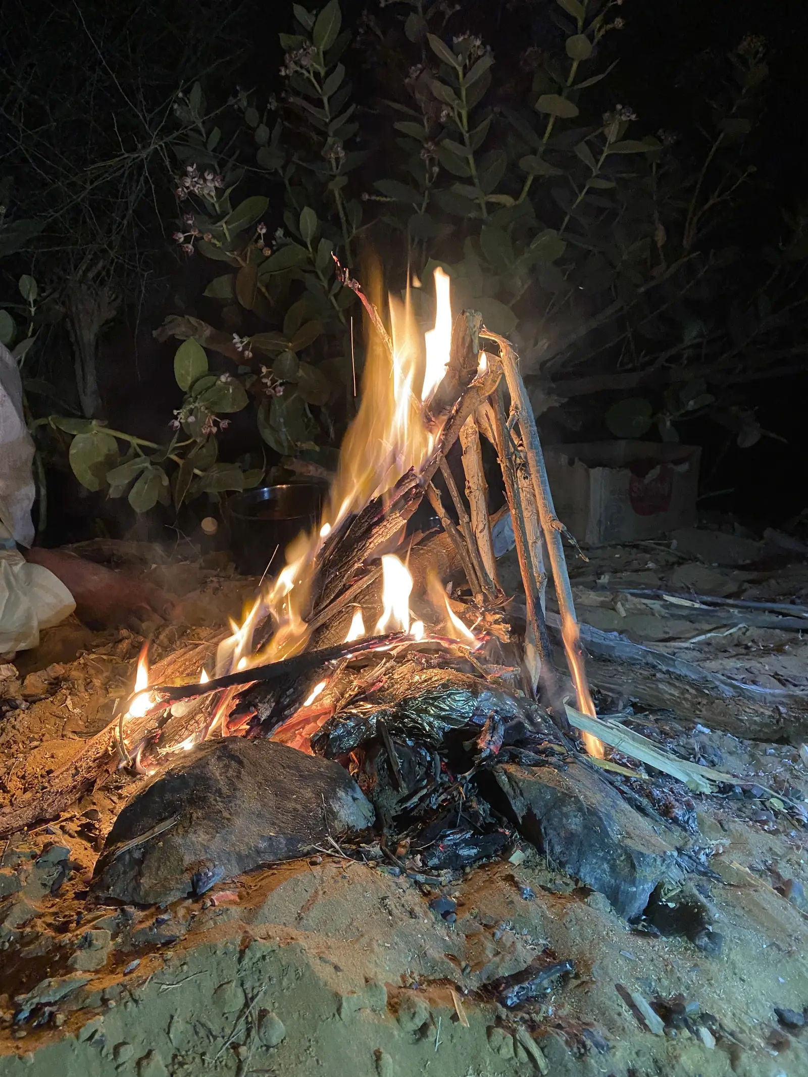 The campfire lit in the scrub after dark