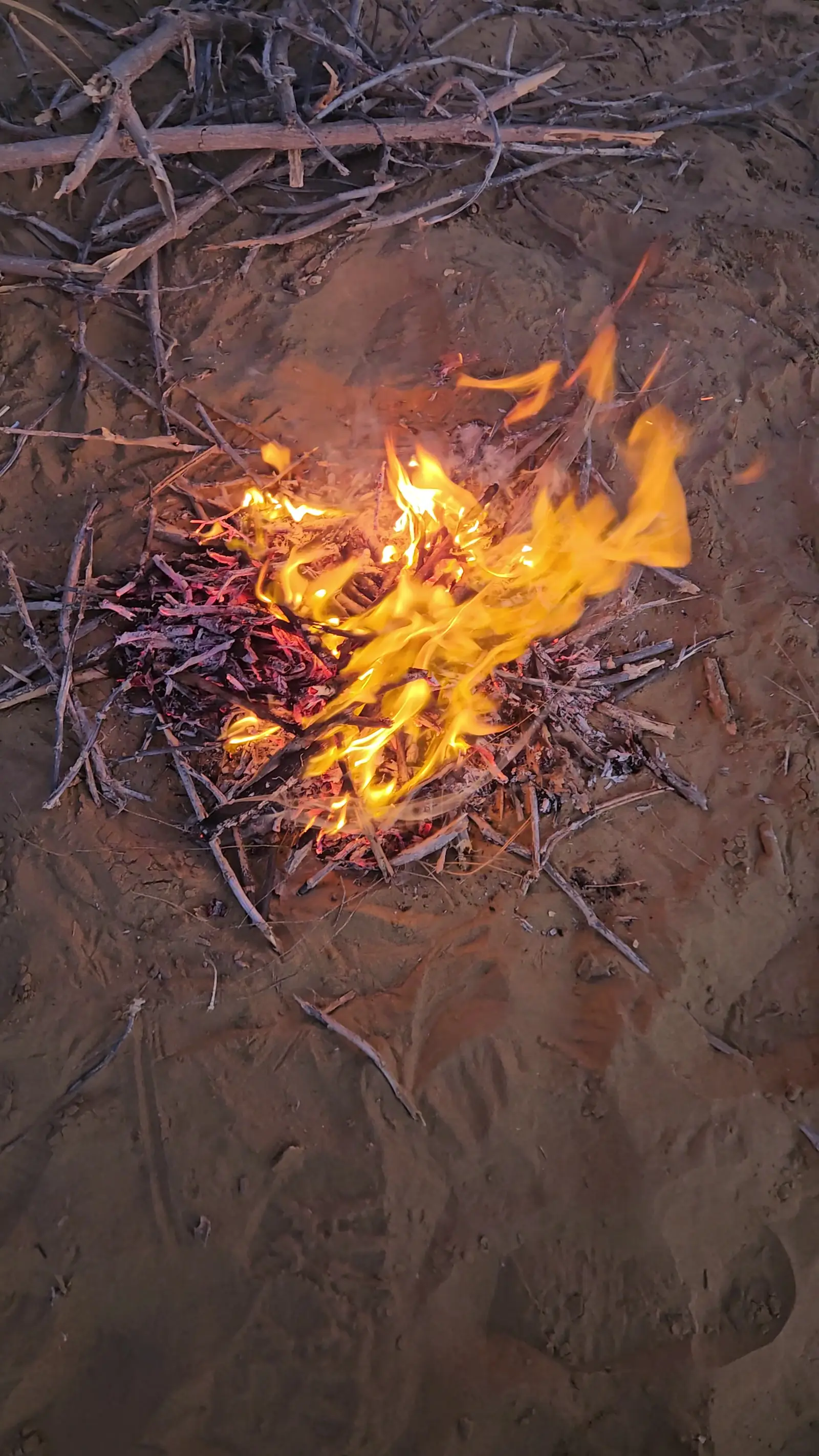 Flames coming up through the wood on the open sand