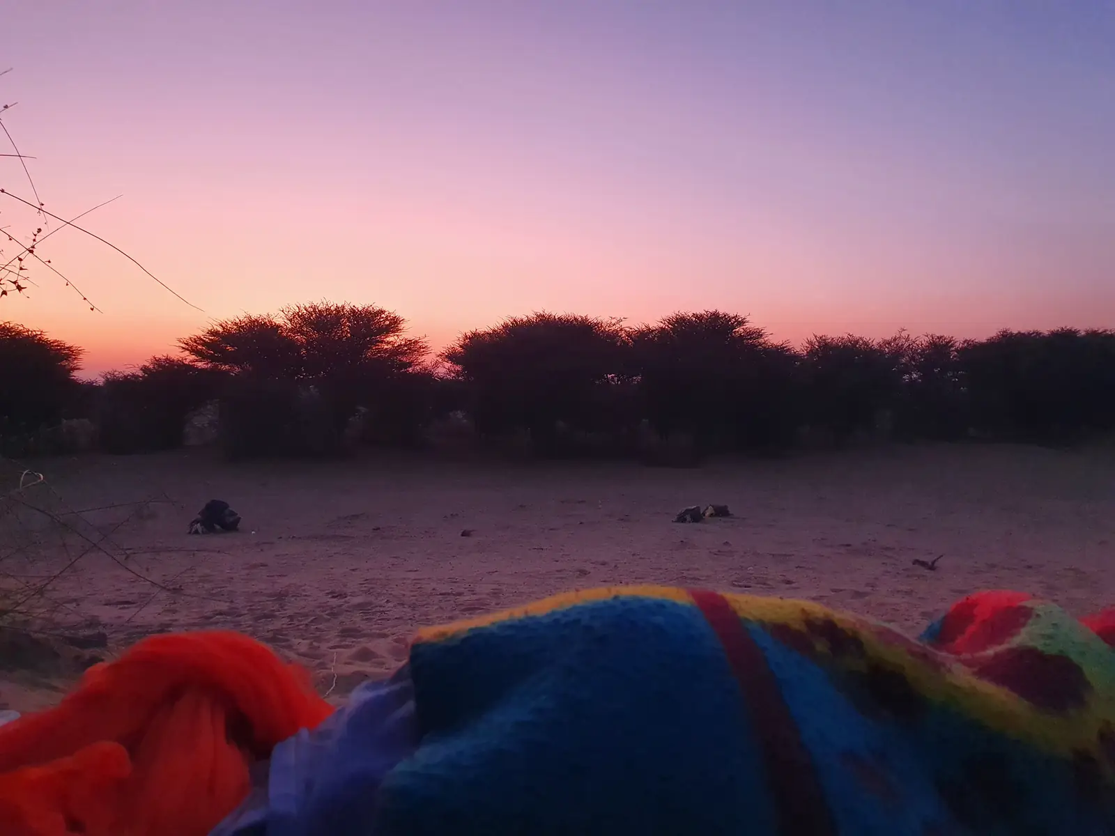 Blankets in the foreground, the sky going pale at first light