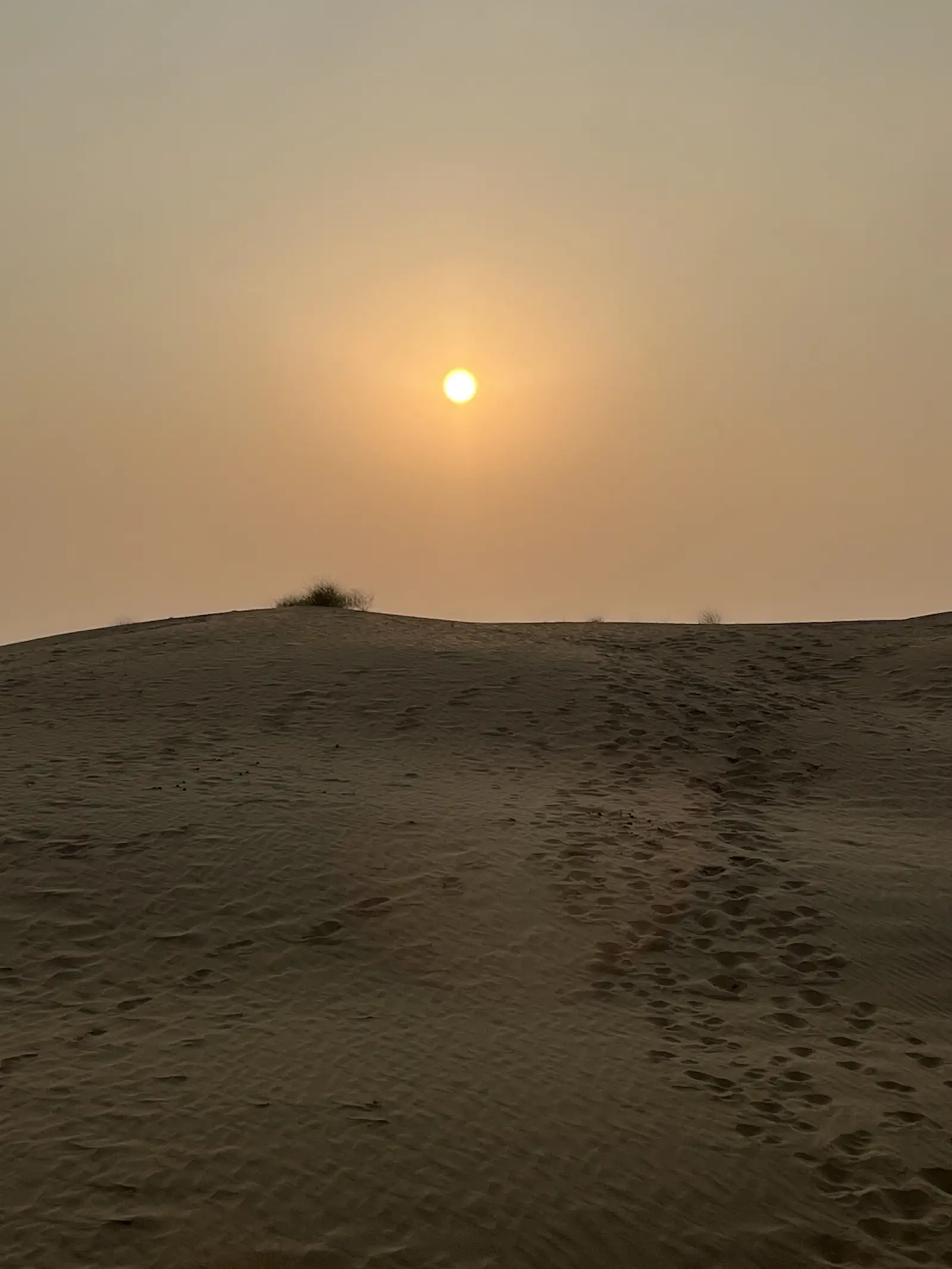 The sun clearing the top of a dune in the early morning