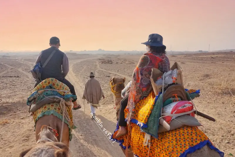 Riders heading out on camels as the sky turns pink