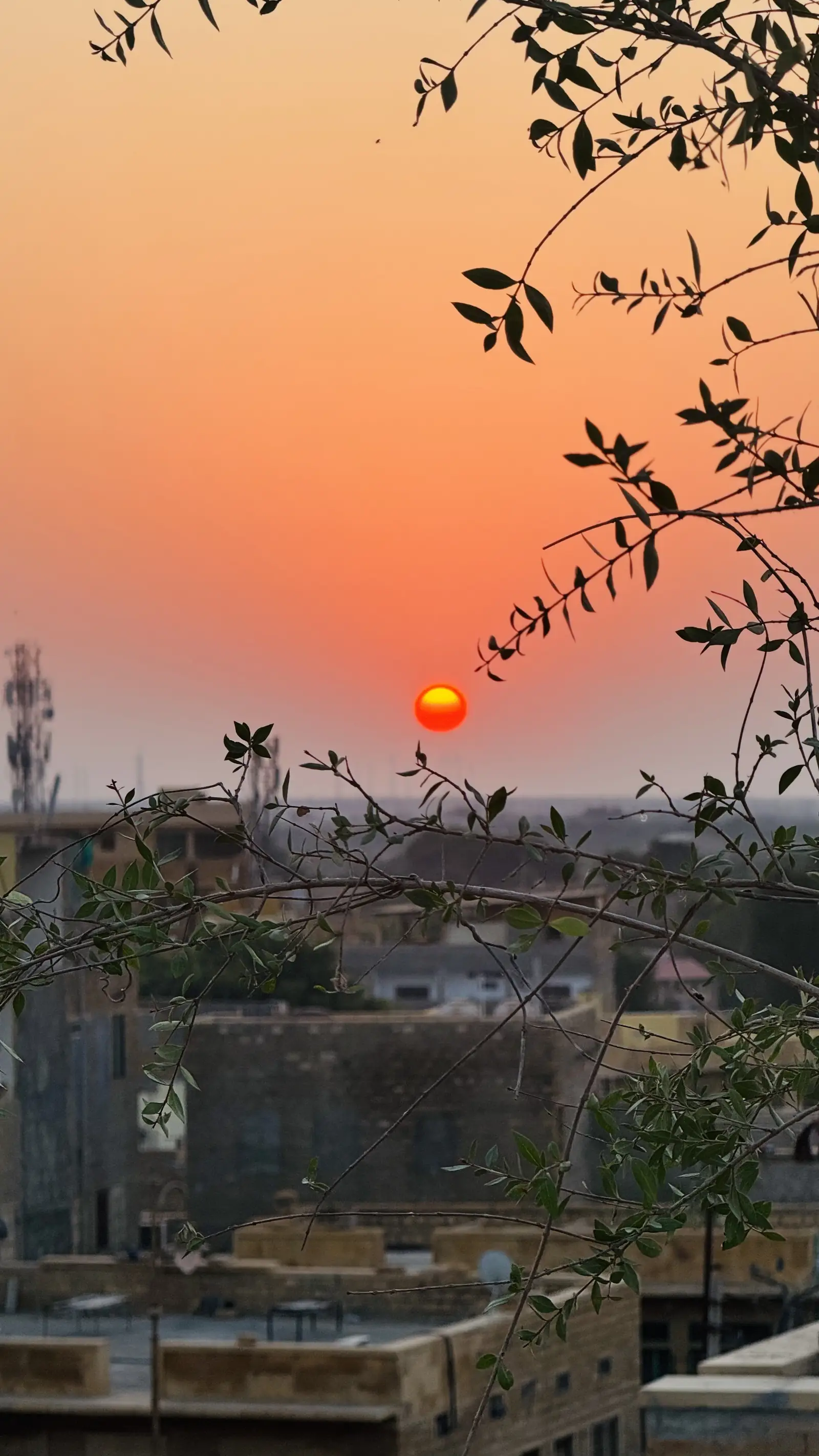 Sunset over the rooftops from the terrace