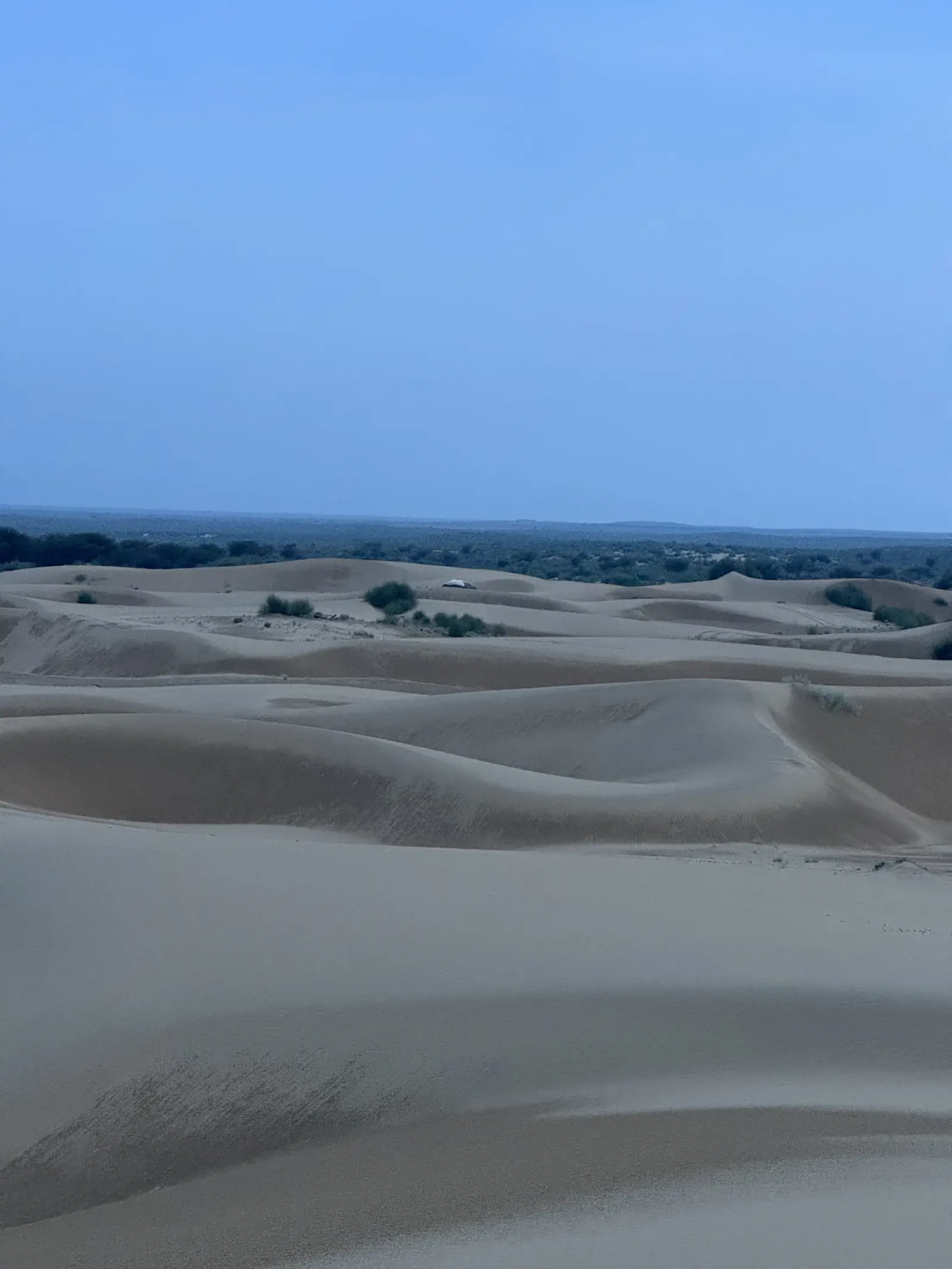 An empty dune field with nobody on it, forty kilometres from the road