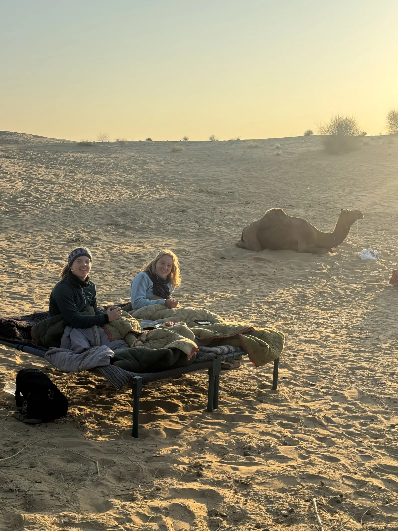 A charpoy bed made up on the open sand with a camel resting behind it