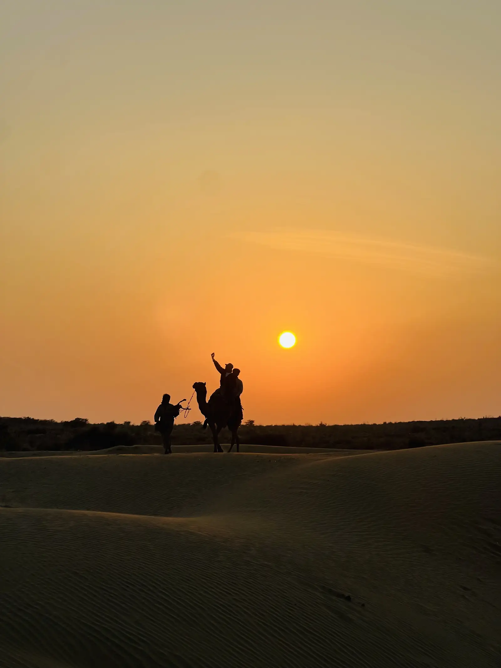 A camel and rider silhouetted directly against the low sun