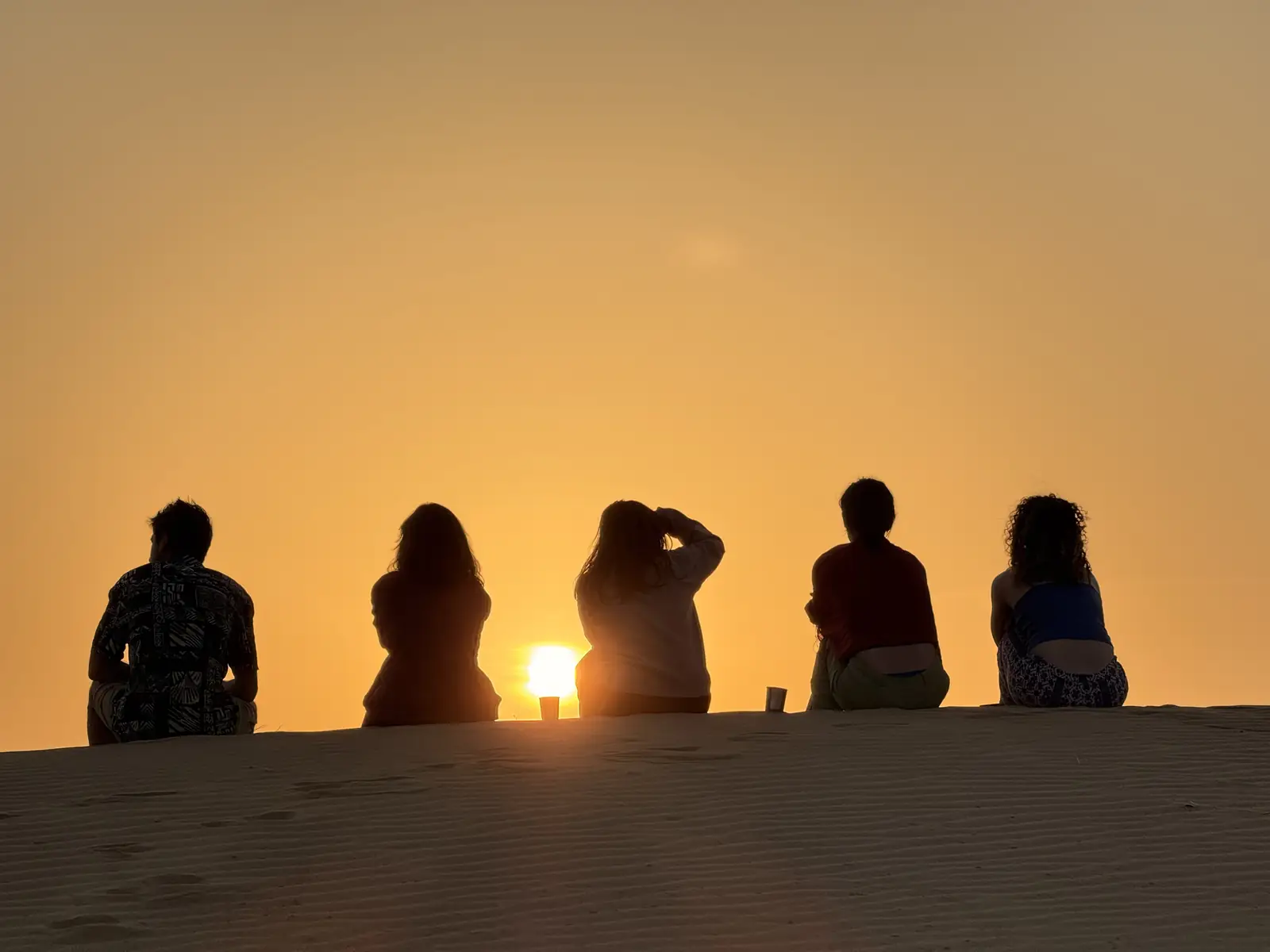 Five guests sitting along a dune, watching the sun drop below the horizon