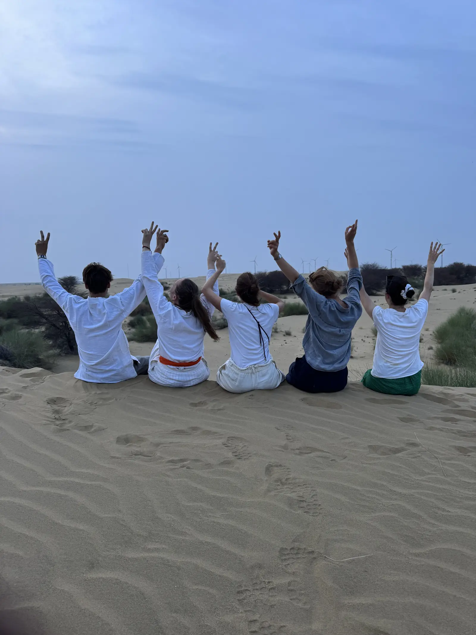 A group sitting along the ridge of a dune with their arms raised