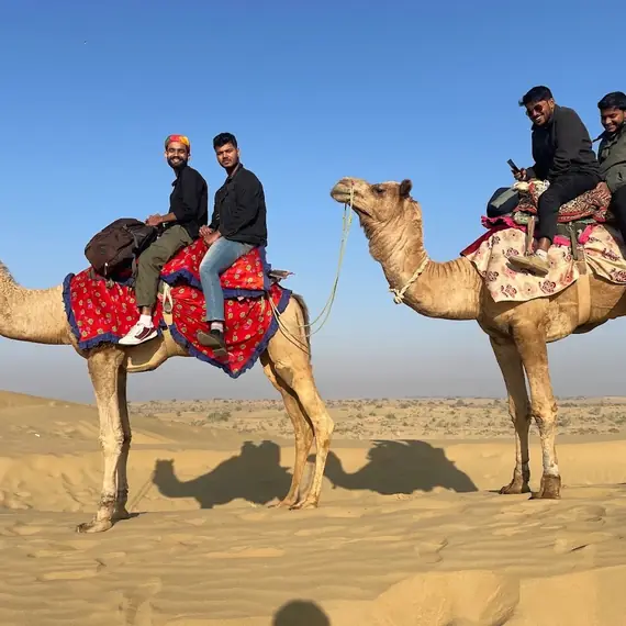 Two decorated camels with riders under a clear sky