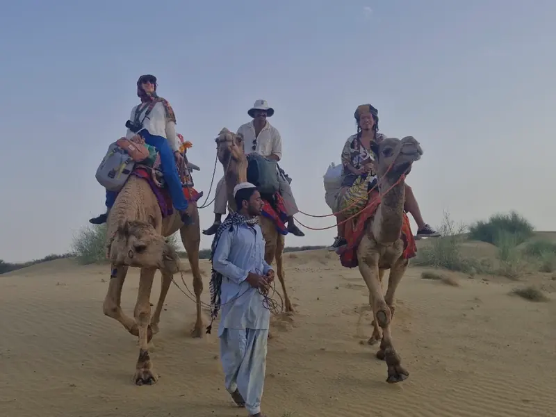 A camel train walking out across the desert as the light goes