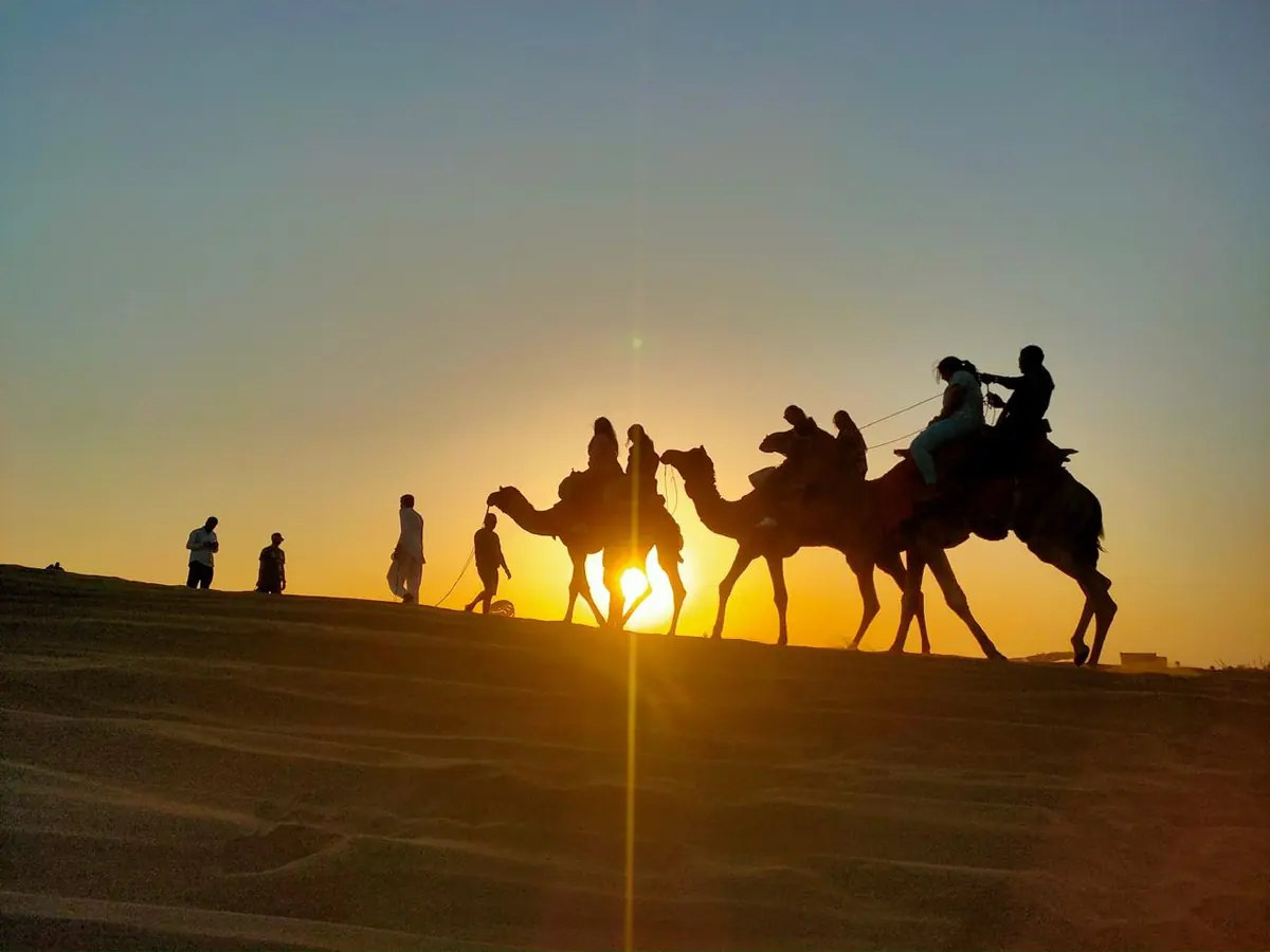 A camel train silhouetted against the setting sun on the ridge of a dune