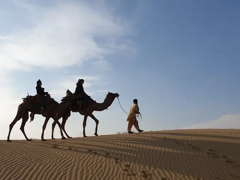 Camels crossing a dune ridge at sunset in the Thar desert near Jaisalmer